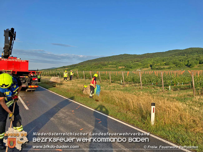 20210725 Verkehrsunfall zwischen zweier Kleinwagen auf der Weinbergstraße zwischen Pfaffstätten und Gumpoldskirchen  Foto: © Freiwillige Feuerwehr Pfaffstätten