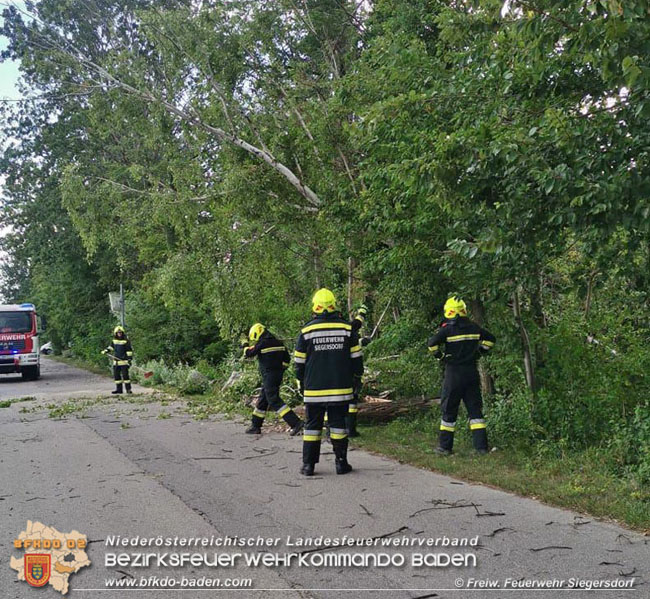 20210728 Sturm und Starkregen sorgte auch für Unwettereinsätze  Foto: Freiwillige Feuerwehr Siegersdorf