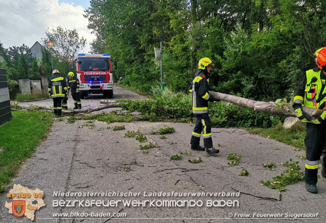 20210728 Sturm und Starkregen sorgte auch für Unwettereinsätze  Foto: Freiwillige Feuerwehr Siegersdorf