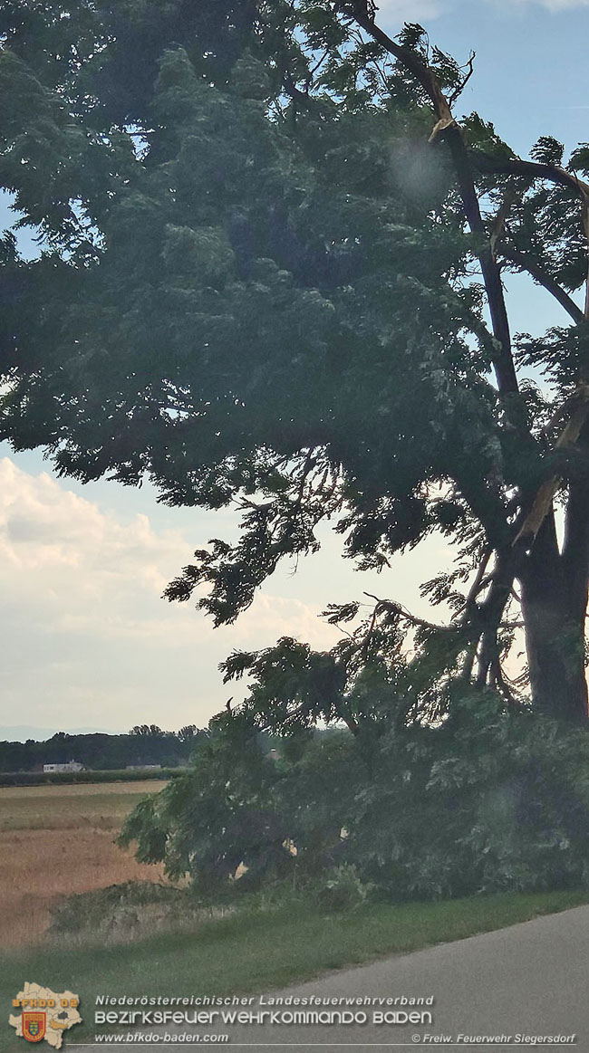 20210728 Sturm und Starkregen sorgte auch für Unwettereinsätze  Foto: Freiwillige Feuerwehr Siegersdorf