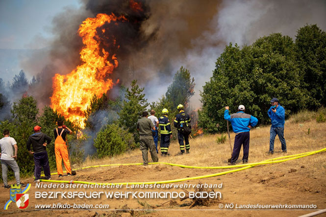 20210805-15 Einsatz Waldbrände in Nordmazedonien