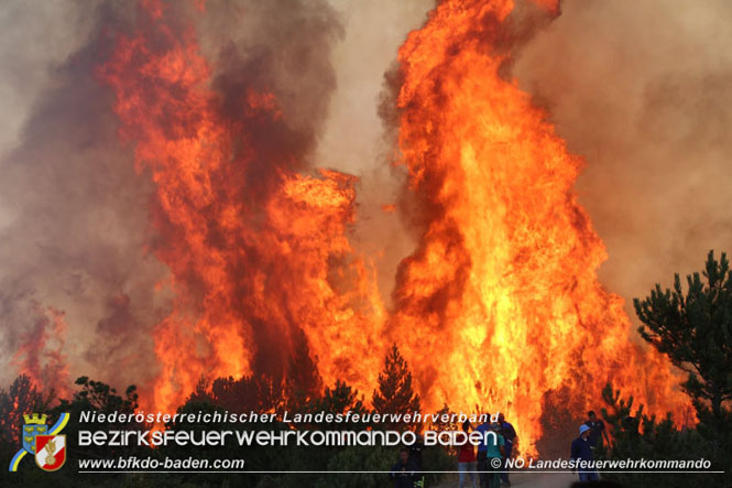 20210805-15 Einsatz Waldbrände in Nordmazedonien