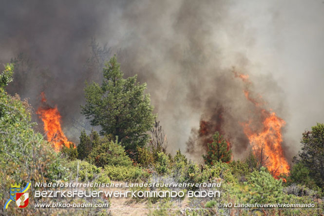 20210805-15 Einsatz Waldbrände in Nordmazedonien