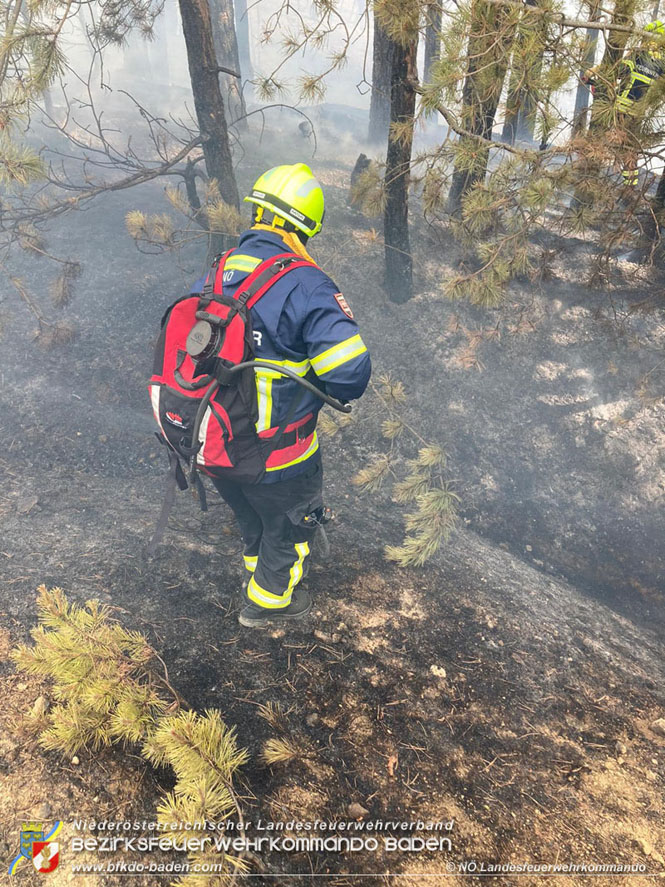 20210805-15 Einsatz Waldbrände in Nordmazedonien