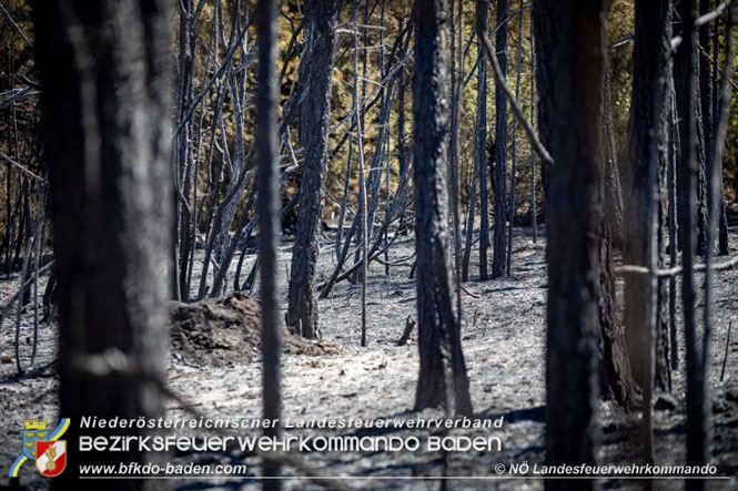 20210805-15 Einsatz Waldbrände in Nordmazedonien