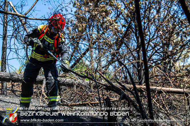 20210805-15 Einsatz Waldbrände in Nordmazedonien