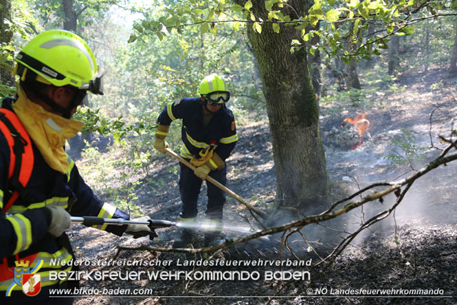 20210805-15 Einsatz Waldbrände in Nordmazedonien