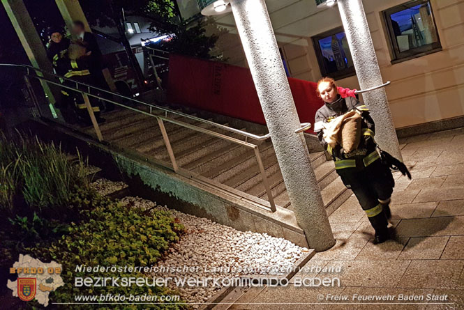 20210816 Gewitterzelle traf zweimal die Stadt Baden Foto: Freiwillige Feuerwehr Baden-Stadt 20210816 Gewitterzelle traf zweimal die Stadt Baden Foto: Freiwillige Feuerwehr Baden-Stadt