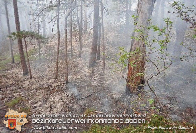 20210914 Waldbrand in Gainfarn im Bereich Mariazeller Zwickl Foto: © Freiwillige Feuerwehr Gainfarn 20210914 Waldbrand in Gainfarn im Bereich Mariazeller Zwickl Foto: © Freiwillige Feuerwehr Gainfarn