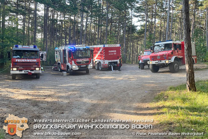 20210914 Waldbrand in Gainfarn im Bereich Mariazeller Zwickl Foto: © Freiwillige Feuerwehr Baden Weikersdorf 20210914 Waldbrand in Gainfarn im Bereich Mariazeller Zwickl Foto: © Freiwillige Feuerwehr Baden Weikersdorf