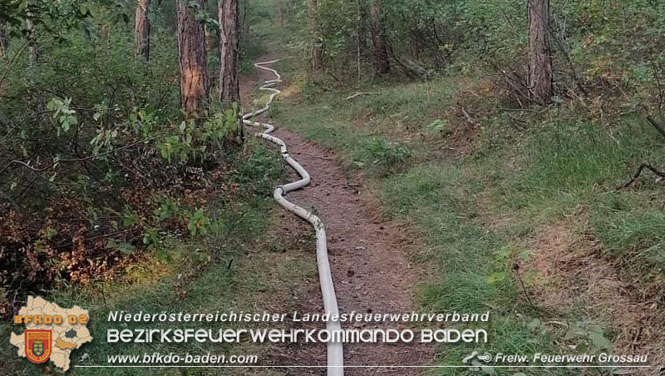 20210914 Waldbrand in Gainfarn im Bereich Mariazeller Zwickl  Foto: © Freiwillige Feuerwehr Grossau