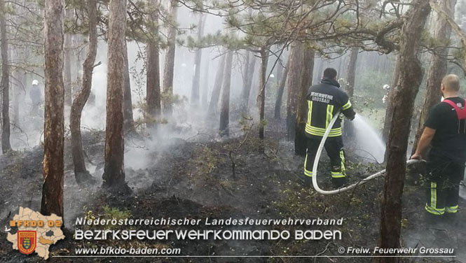 20210914 Waldbrand in Gainfarn im Bereich Mariazeller Zwickl  Foto: © Freiwillige Feuerwehr Grossau