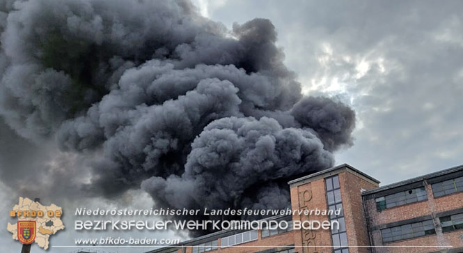 20210921 B4 Großbrand im Gewerbepark Traiskirchen 20210921 B4 Großbrand im Gewerbepark Traiskirchen