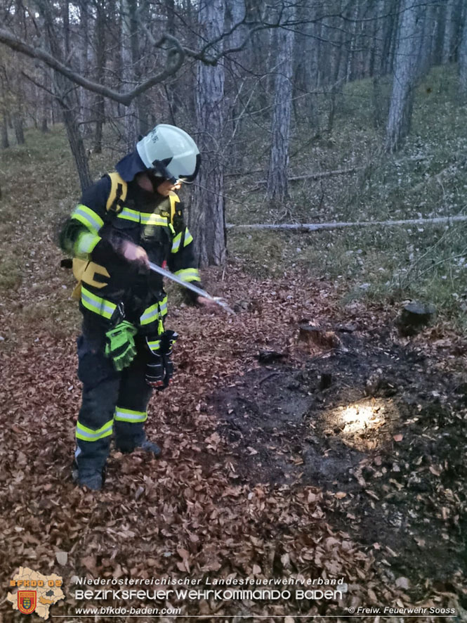 20211121 Waldbrand noch rechtzeitig entdeckt im Gemeindegebiet von Sooß Foto: © Freiwillige Feuerwehr Sooß 20211121 Waldbrand noch rechtzeitig entdeckt im Gemeindegebiet von Sooß Foto: © Freiwillige Feuerwehr Sooß