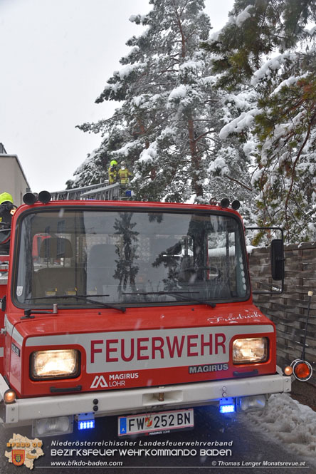 20211209 Abgebrochener Ast über Parkplatz in Ebreichsdorf    Foto: © Thomas Lenger Monatsrevue.at