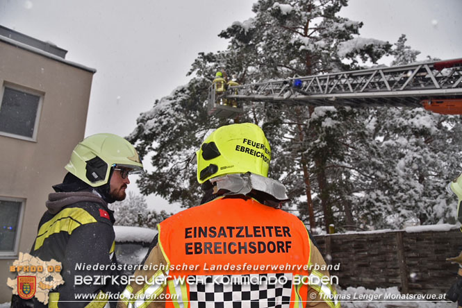 20211209 Abgebrochener Ast über Parkplatz in Ebreichsdorf    Foto: © Thomas Lenger Monatsrevue.at