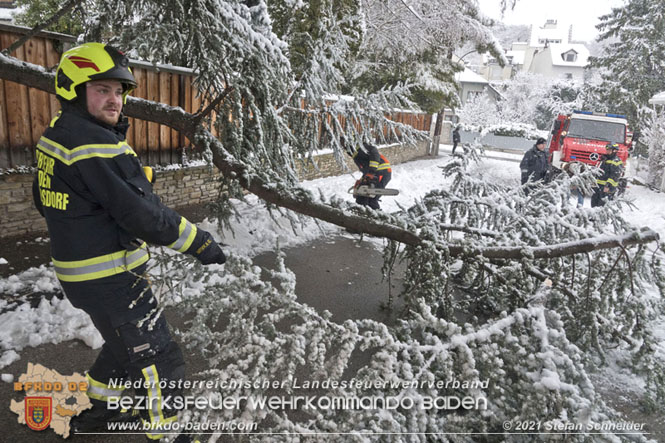 20211209 Großer Ast hielt Schneelast nicht stand und stürzte in Baden auf eine Straße Foto: © Stefan Schneider BFKDO Baden 20211209 Großer Ast hielt Schneelast nicht stand und stürzte in Baden auf eine Straße Foto: © Stefan Schneider BFKDO Baden
