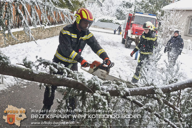 20211209 Großer Ast hielt Schneelast nicht stand und stürzte in Baden auf eine Straße Foto: © Stefan Schneider BFKDO Baden 20211209 Großer Ast hielt Schneelast nicht stand und stürzte in Baden auf eine Straße Foto: © Stefan Schneider BFKDO Baden