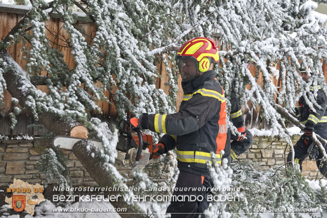 20211209 Großer Ast hielt Schneelast nicht stand und stürzte in Baden auf eine Straße Foto: © Stefan Schneider BFKDO Baden 20211209 Großer Ast hielt Schneelast nicht stand und stürzte in Baden auf eine Straße Foto: © Stefan Schneider BFKDO Baden