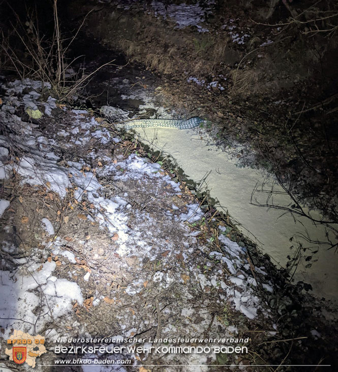 20211212 Umwelteinsatz im Triestingtal Wallgraben bei Altenmarkt an der Triesting