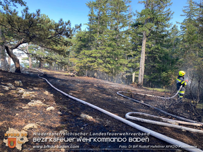 20220816 Waldbrand "Steinwand" Furth a.d.Triesting Foto: DI Rudolf Hafellner AFKDO Pottenstein 20220816 Waldbrand "Steinwand" Furth a.d.Triesting Foto: DI Rudolf Hafellner AFKDO Pottenstein