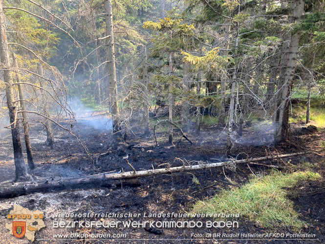 20220816 Waldbrand "Steinwand" Furth a.d.Triesting Foto: DI Rudolf Hafellner AFKDO Pottenstein 20220816 Waldbrand "Steinwand" Furth a.d.Triesting Foto: DI Rudolf Hafellner AFKDO Pottenstein