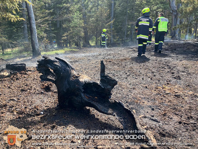 20220816 Waldbrand "Steinwand" Furth a.d.Triesting Foto: DI Rudolf Hafellner AFKDO Pottenstein 20220816 Waldbrand "Steinwand" Furth a.d.Triesting Foto: DI Rudolf Hafellner AFKDO Pottenstein
