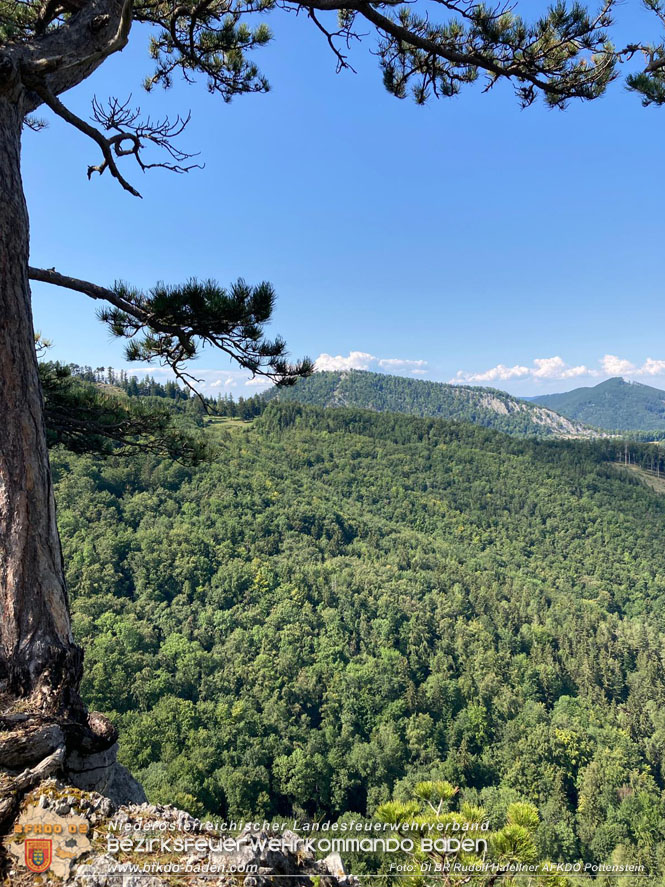20220816 Waldbrand "Steinwand" Furth a.d.Triesting Foto: DI Rudolf Hafellner AFKDO Pottenstein 20220816 Waldbrand "Steinwand" Furth a.d.Triesting Foto: DI Rudolf Hafellner AFKDO Pottenstein