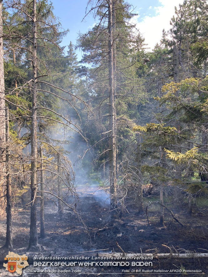 20220816 Waldbrand "Steinwand" Furth a.d.Triesting Foto: DI Rudolf Hafellner AFKDO Pottenstein 20220816 Waldbrand "Steinwand" Furth a.d.Triesting Foto: DI Rudolf Hafellner AFKDO Pottenstein