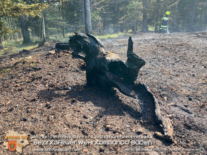 20220816 Waldbrand "Steinwand" Furth a.d.Triesting Foto: DI Rudolf Hafellner AFKDO Pottenstein 20220816 Waldbrand "Steinwand" Furth a.d.Triesting Foto: DI Rudolf Hafellner AFKDO Pottenstein