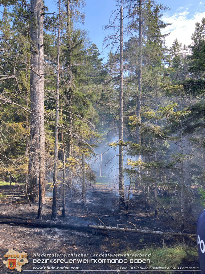 20220816 Waldbrand "Steinwand" Furth a.d.Triesting Foto: DI Rudolf Hafellner AFKDO Pottenstein 20220816 Waldbrand "Steinwand" Furth a.d.Triesting Foto: DI Rudolf Hafellner AFKDO Pottenstein