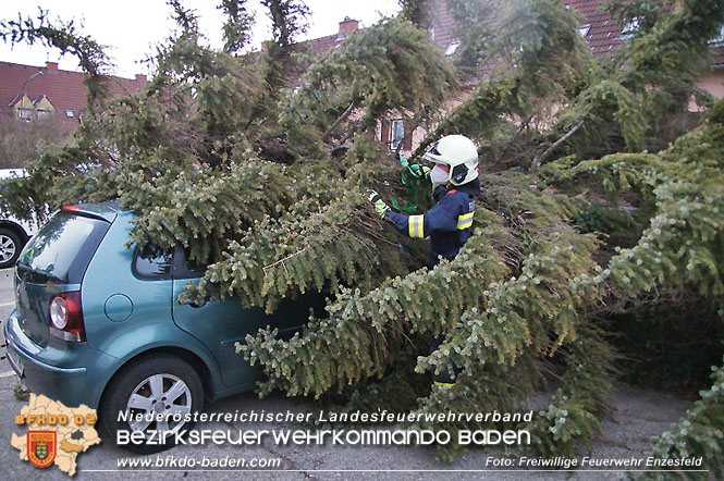 20220129 Sturmtief Nadine über Enzesfeld  Foto: Reinhard Wafrek Freiwillige Feuerwehr Enzesfeld