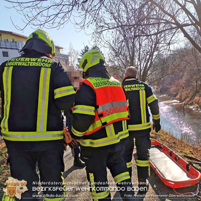 20220214 Treibende Person im Triesting Fluss Foto: Freiwillige Feuerwehr Oberwalterdorf 20220214 Treibende Person im Triesting Fluss Foto: Freiwillige Feuerwehr Oberwalterdorf