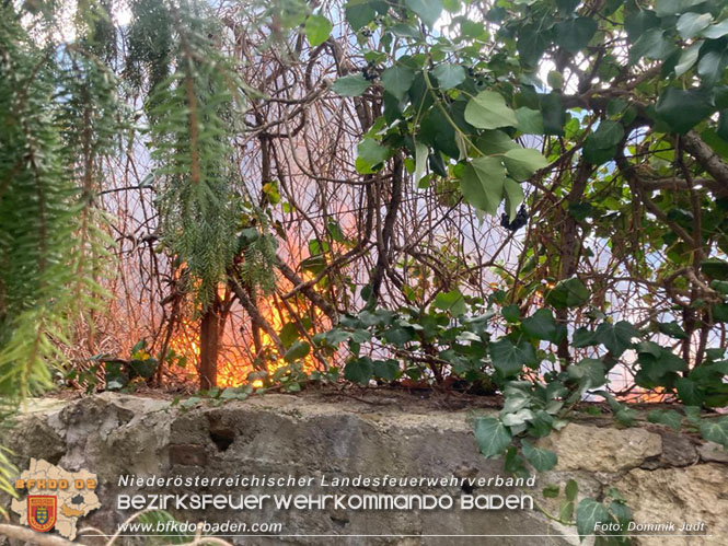 20220304 Brand auf einem Grundstück in Baden Ortsteil Weikersdorf Foto: Dominik Judt 20220304 Brand auf einem Grundstück in Baden Ortsteil Weikersdorf Foto: Dominik Judt