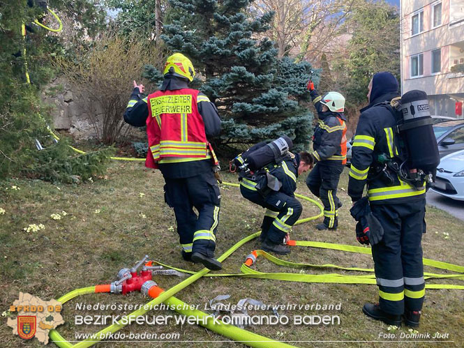 20220304 Brand auf einem Grundstück in Baden Ortsteil Weikersdorf Foto: Dominik Judt 20220304 Brand auf einem Grundstück in Baden Ortsteil Weikersdorf Foto: Dominik Judt