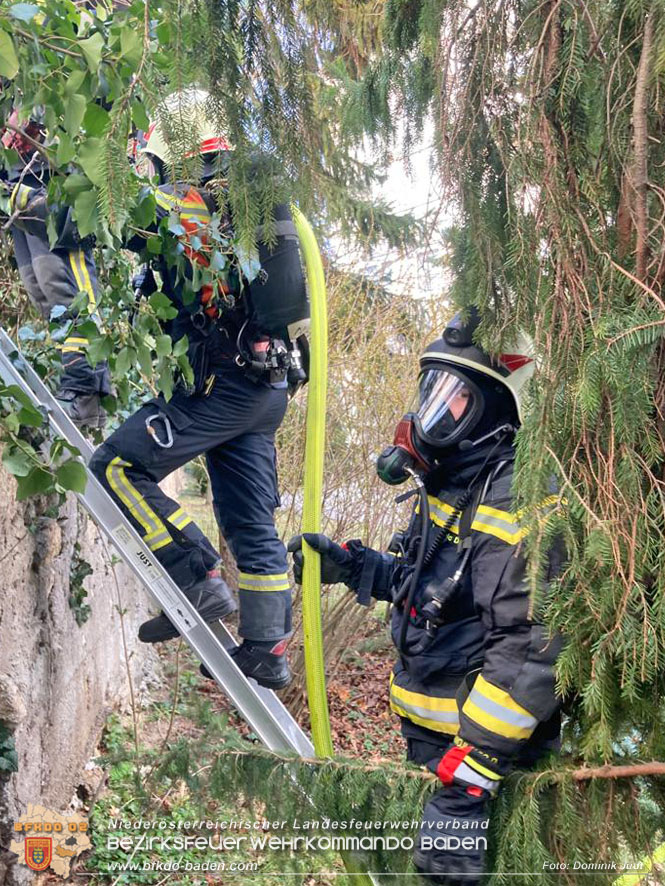 20220304 Brand auf einem Grundstück in Baden Ortsteil Weikersdorf Foto: Dominik Judt 20220304 Brand auf einem Grundstück in Baden Ortsteil Weikersdorf Foto: Dominik Judt