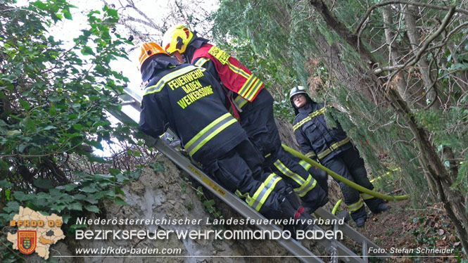 20220304 Brand auf einem Grundstück in Baden Ortsteil Weikersdorf Foto: Stefan Schneider 20220304 Brand auf einem Grundstück in Baden Ortsteil Weikersdorf Foto: Stefan Schneider