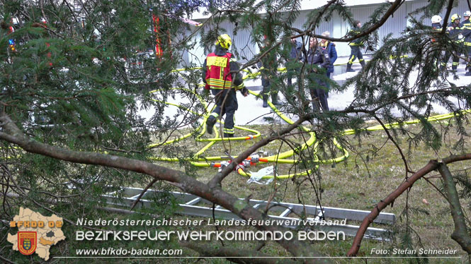20220304 Brand auf einem Grundstück in Baden Ortsteil Weikersdorf Foto: Stefan Schneider 20220304 Brand auf einem Grundstück in Baden Ortsteil Weikersdorf Foto: Stefan Schneider