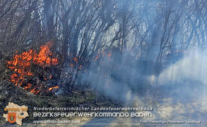 20220321 Flurbrand neben Pottendorfer Bahnlinie zwischen Landegg und Ebenfurth  Foto: Freiwillige Feuerwehr Landegg