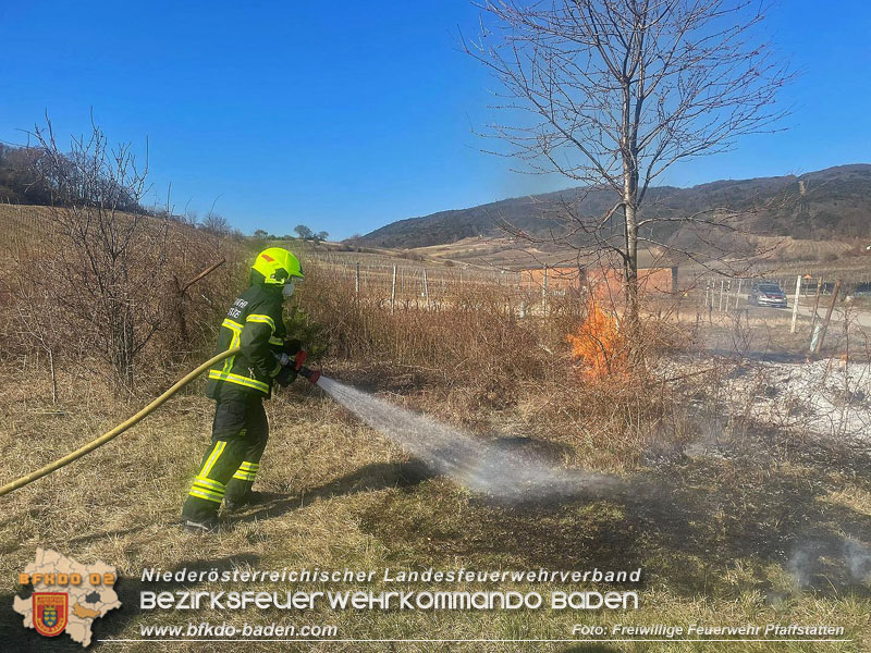20220324 Flurbrand auf der Weinbergstraße zwischen Pfaffstätten und Gumpoldskirchen   Foto: Freiwillige Feuerwehr Pfaffstätten