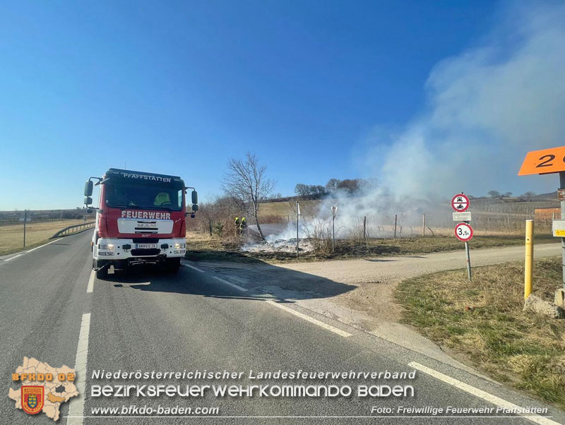 20220324 Flurbrand auf der Weinbergstraße zwischen Pfaffstätten und Gumpoldskirchen   Foto: Freiwillige Feuerwehr Pfaffstätten