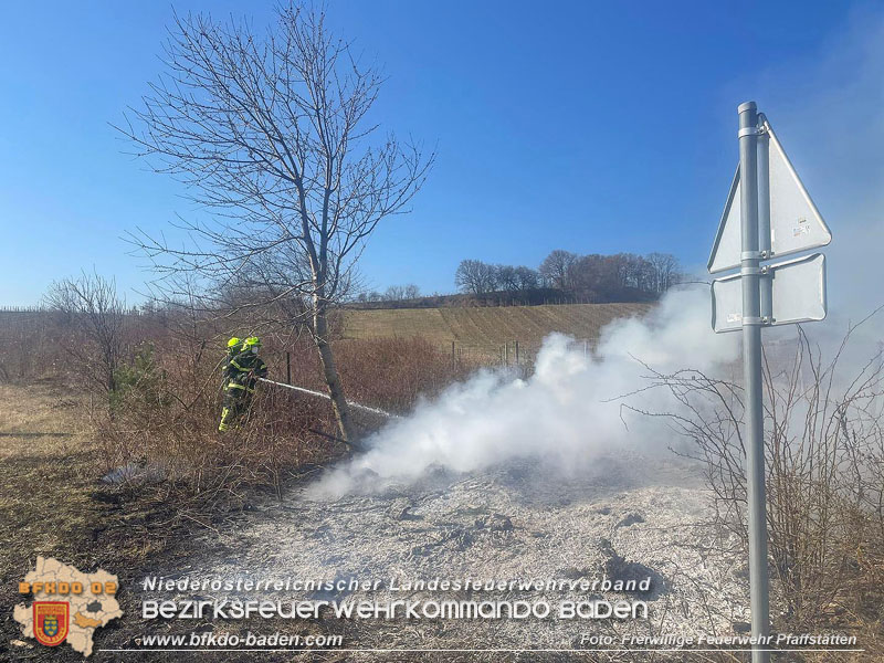 20220324 Flurbrand auf der Weinbergstraße zwischen Pfaffstätten und Gumpoldskirchen   Foto: Freiwillige Feuerwehr Pfaffstätten