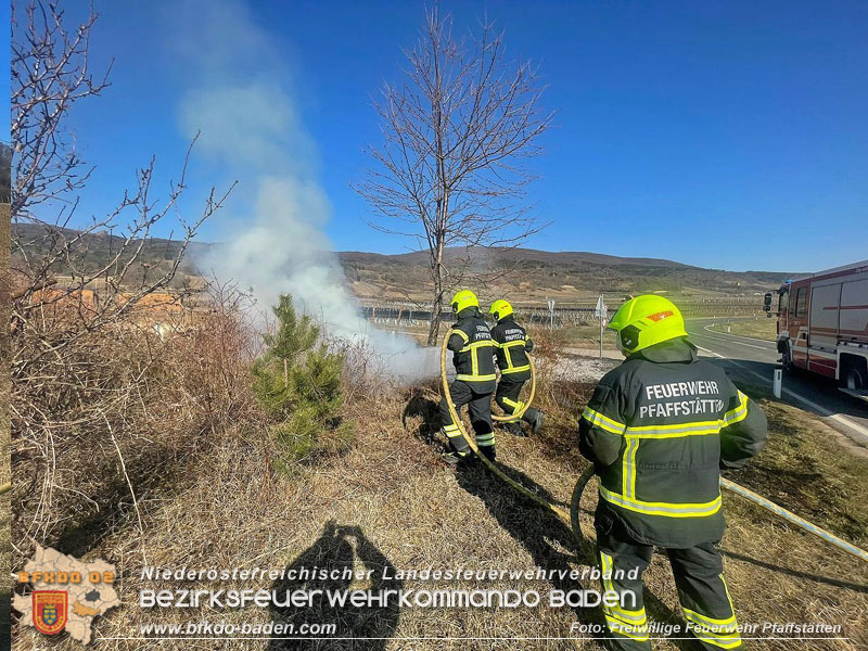 20220324 Flurbrand auf der Weinbergstraße zwischen Pfaffstätten und Gumpoldskirchen   Foto: Freiwillige Feuerwehr Pfaffstätten