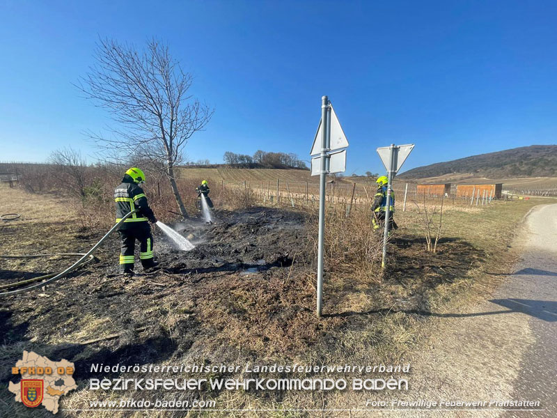 20220324 Flurbrand auf der Weinbergstraße zwischen Pfaffstätten und Gumpoldskirchen   Foto: Freiwillige Feuerwehr Pfaffstätten