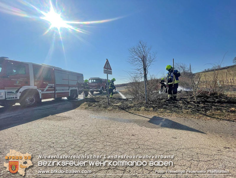 20220324 Flurbrand auf der Weinbergstraße zwischen Pfaffstätten und Gumpoldskirchen   Foto: Freiwillige Feuerwehr Pfaffstätten