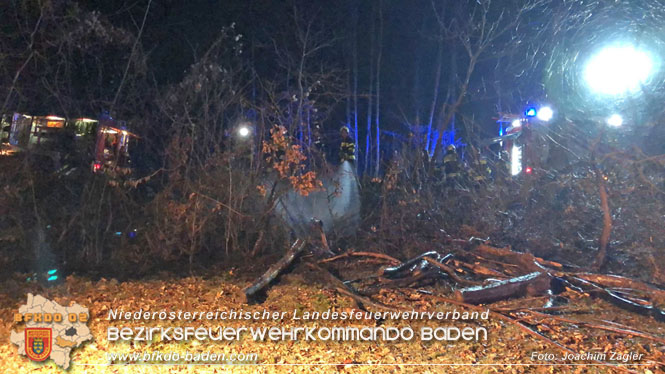 20220324 Brand in Waldnähe in Groisbach bei Alland  Foto: Joachim Zagler