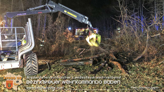 20220324 Brand in Waldnähe in Groisbach bei Alland  Foto: Joachim Zagler