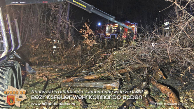 20220324 Brand in Waldnähe in Groisbach bei Alland  Foto: Joachim Zagler