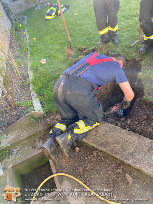 20220412 Frettchen auf Abwegen - Feuerwehr kann Ausreißer retten Foto: Freiwillige Feuerwehr Leobersdorf 20220412 Frettchen auf Abwegen - Feuerwehr kann Ausreißer retten Foto: Freiwillige Feuerwehr Leobersdorf