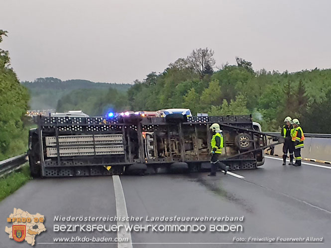 20220513 Umgestürzter Anhänger blockiert die Fahrbahn auf der A21  Foto: Freiwillige Feuerwehr Alland